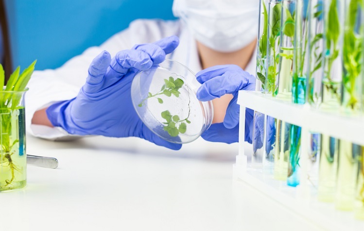 Research & Development at IVN