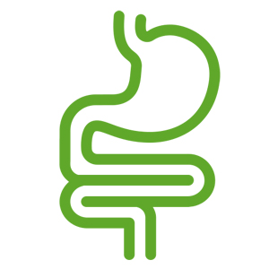 GI Tract